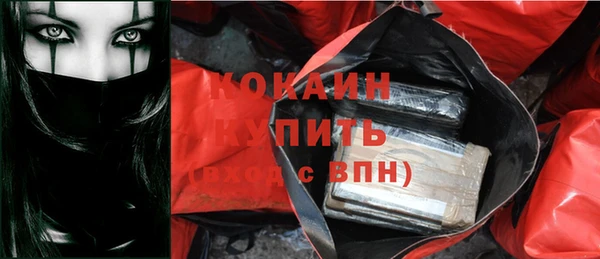 прущие грибы Богданович