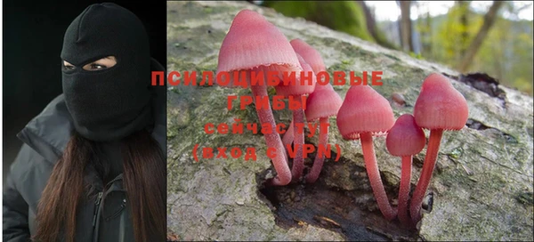 таблы Бородино