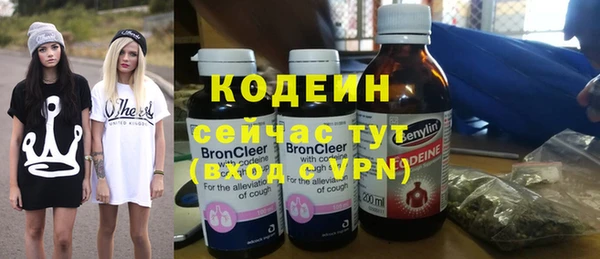 таблы Бородино