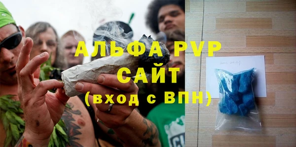 таблы Бородино